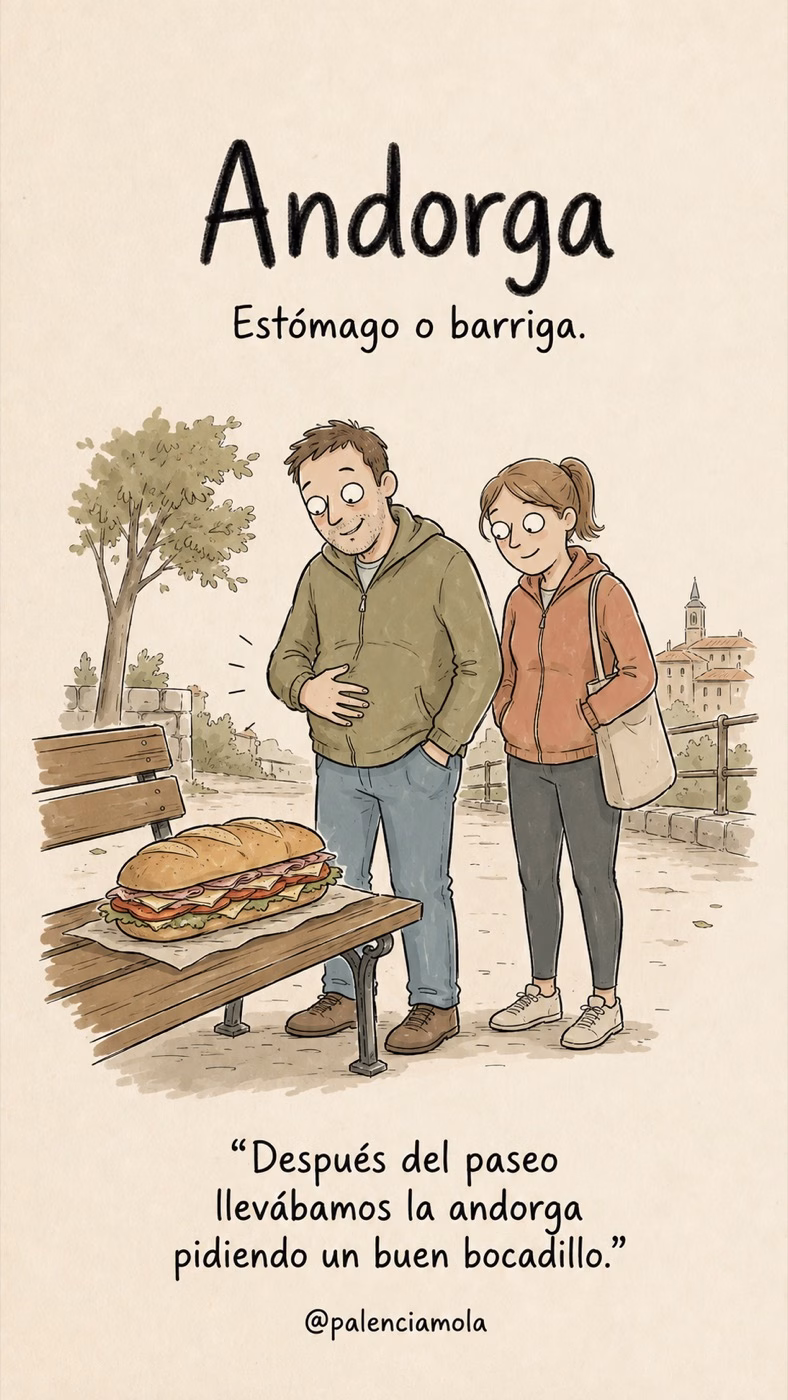 Ilustración de Andorga: Estómago o barriga.